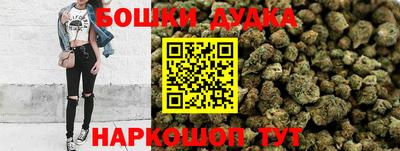 индика Усть-Илимск