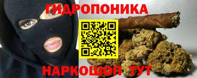 индика Усть-Илимск