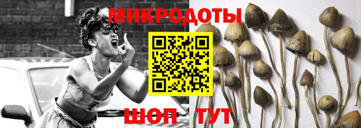 Галлюциногенные грибы MAGIC MUSHROOMS Гусев
