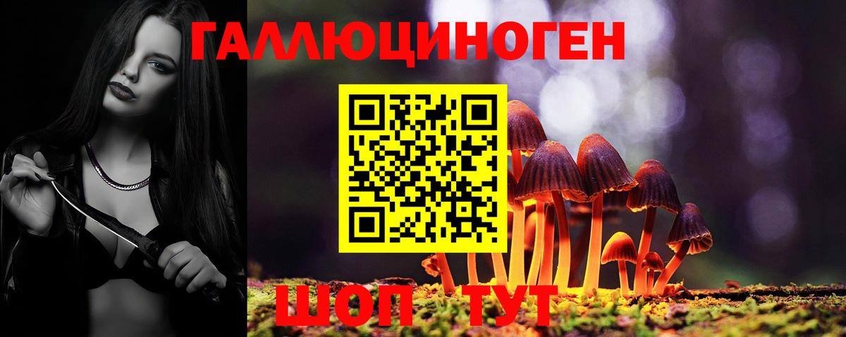Гусев  Псилоцибиновые грибы Magic Shrooms  Вход с VPN 